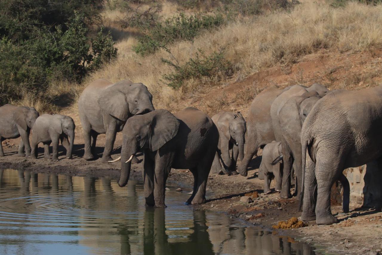 Ku Sungula Safari Lodge Заповедник Балуле Экстерьер фото