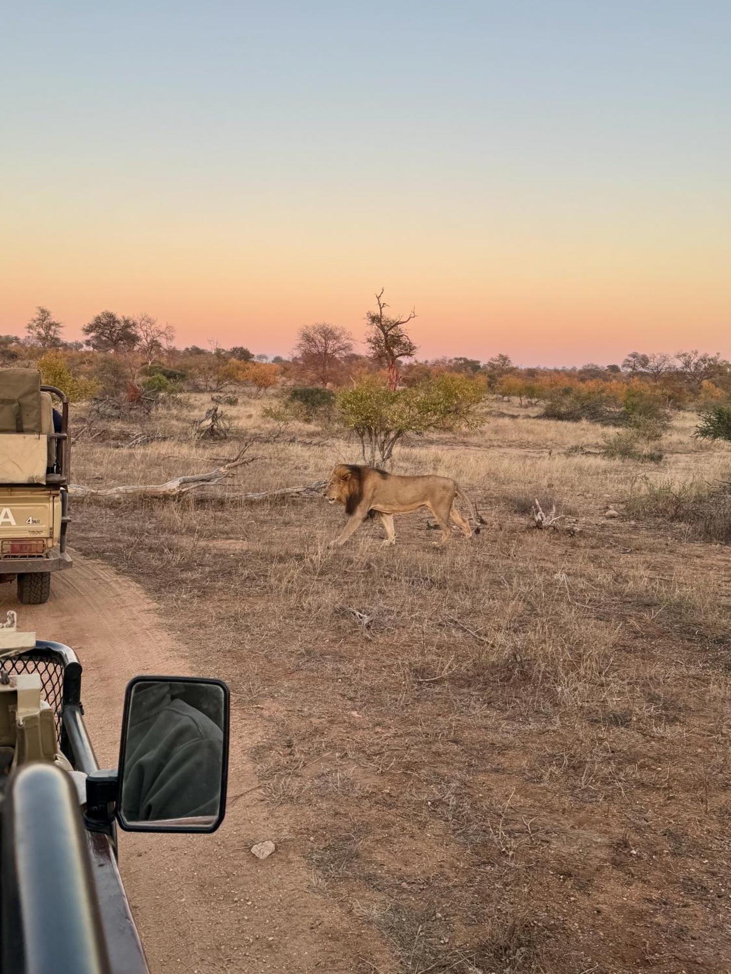 Ku Sungula Safari Lodge Заповедник Балуле Экстерьер фото