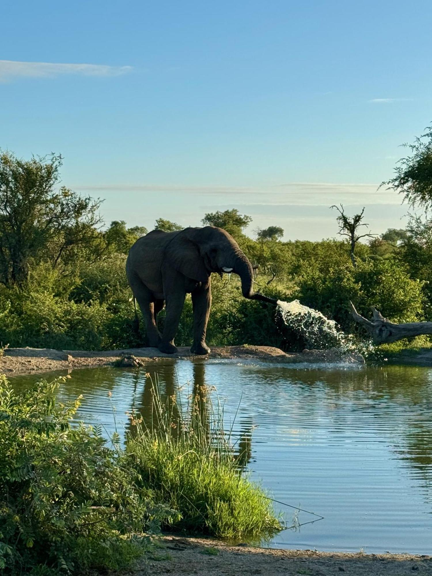 Ku Sungula Safari Lodge Заповедник Балуле Экстерьер фото