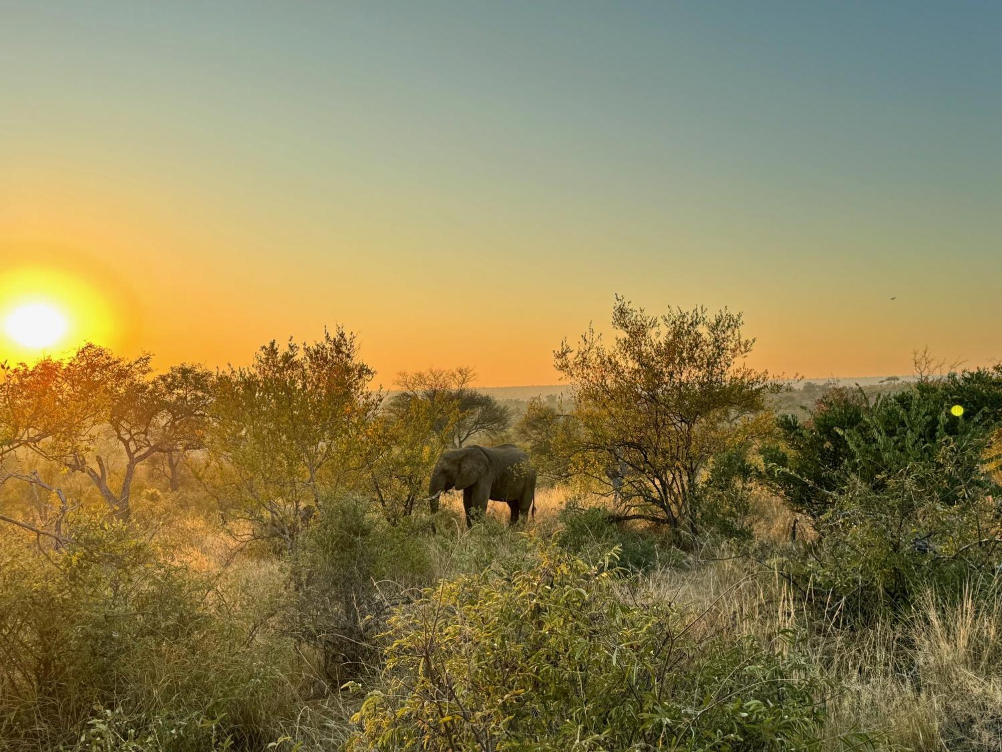 Ku Sungula Safari Lodge Заповедник Балуле Экстерьер фото